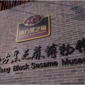 黑芝麻是“黑老大”？专家表示：这不是哗众取宠